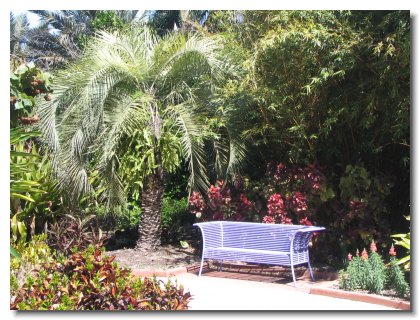 Florida 2006 (37)